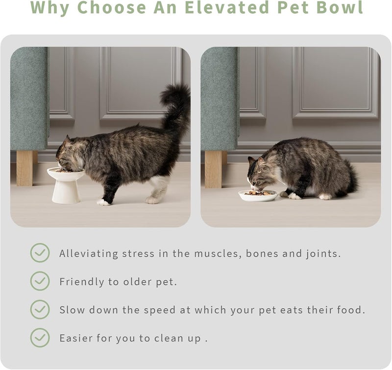 CEEFU 2 Elevated Ceramic Cat Bowls Extra Wide for Food & Water – Whisker Fatigue Shallow Food Dish, Lead & Cadmium-Free, Raised Height for Cats and Dogs, Two Different Depth Bowls, White - Image 5